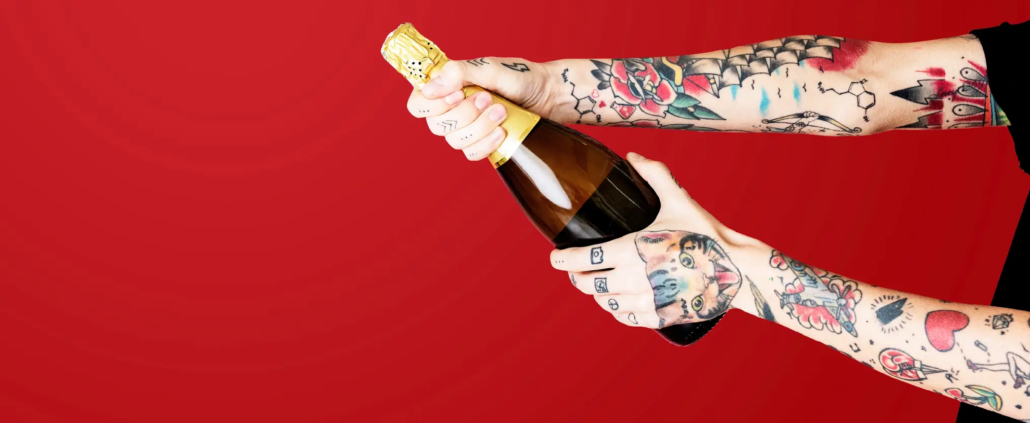 A Sparkling Lineup for the Holiday Season